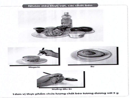 Quyết định 5904/QĐ-BYT của Bộ Y tế về việc ban hành tài liệu chuyên môn 