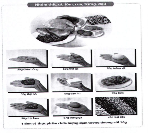 Quyết định 5904/QĐ-BYT của Bộ Y tế về việc ban hành tài liệu chuyên môn 