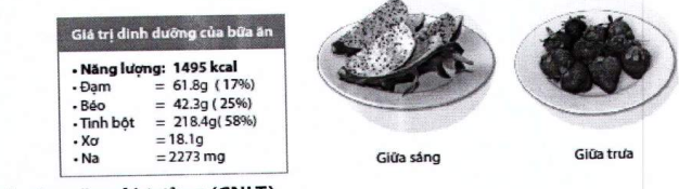 Quyết định 5904/QĐ-BYT của Bộ Y tế về việc ban hành tài liệu chuyên môn 