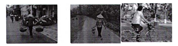 Quyết định 5904/QĐ-BYT của Bộ Y tế về việc ban hành tài liệu chuyên môn 