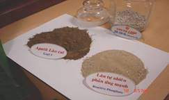 Thông tư 184/2010/TT-BTC của Bộ Tài chính quy định mức thuế suất của Biểu thuế xuất khẩu, Biểu thuế nhập khẩu ưu đãi theo danh mục mặt hàng chịu thuế