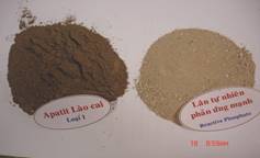 Thông tư 184/2010/TT-BTC của Bộ Tài chính quy định mức thuế suất của Biểu thuế xuất khẩu, Biểu thuế nhập khẩu ưu đãi theo danh mục mặt hàng chịu thuế