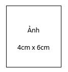 Quyết định 2700/QĐ-UBND của Ủy ban nhân dân Thành phố Hồ Chí Minh về việc công bố thủ tục hành chính mới ban hành, được sửa đổi, bổ sung, thay thế và bị bãi bỏ thuộc phạm vi chức năng quản lý của Sở Tư pháp