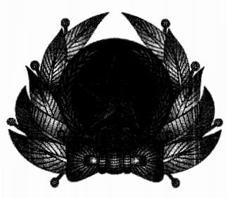 Quyết định 102/QĐ-BHXH của Bảo hiểm xã hội Việt Nam về việc ban hành Quy định cấp, quản lý, sử dụng thẻ và trang phục của người được giao thực hiện nhiệm vụ thanh tra chuyên ngành về đóng bảo hiểm xã hội, bảo hiểm thất nghiệp, bảo hiểm y tế