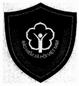 Quyết định 102/QĐ-BHXH của Bảo hiểm xã hội Việt Nam về việc ban hành Quy định cấp, quản lý, sử dụng thẻ và trang phục của người được giao thực hiện nhiệm vụ thanh tra chuyên ngành về đóng bảo hiểm xã hội, bảo hiểm thất nghiệp, bảo hiểm y tế