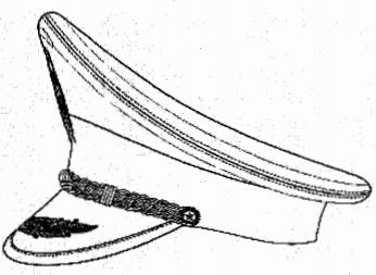 Quyết định 102/QĐ-BHXH của Bảo hiểm xã hội Việt Nam về việc ban hành Quy định cấp, quản lý, sử dụng thẻ và trang phục của người được giao thực hiện nhiệm vụ thanh tra chuyên ngành về đóng bảo hiểm xã hội, bảo hiểm thất nghiệp, bảo hiểm y tế