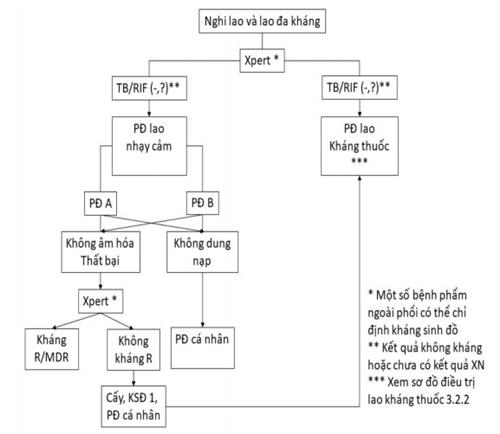 Quyết định 2760/QĐ-BYT của Bộ Y tế về việc ban hành cập nhật Hướng dẫn điều trị Lao kháng thuốc