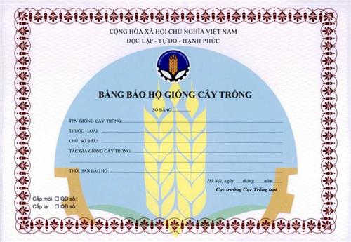 Quyết định 3121/QĐ-BNN-VP của Bộ Nông nghiệp và Phát triển nông thôn về việc công bố thủ tục hành chính thay thế, bãi bỏ lĩnh vực Trồng trọt thuộc phạm vi chức năng quản lý của Bộ Nông nghiệp và Phát triển nông thôn