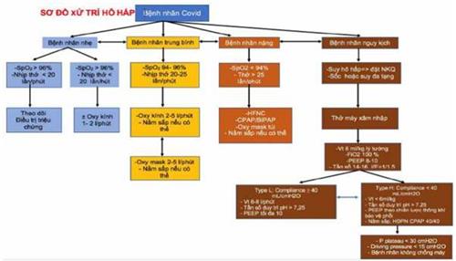 Quyết định 4689/QĐ-BYT của Bộ Y tế về việc ban hành Hướng dẫn chẩn đoán và điều trị COVID-19