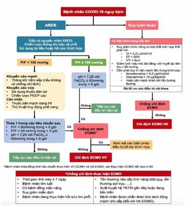 Quyết định 4689/QĐ-BYT của Bộ Y tế về việc ban hành Hướng dẫn chẩn đoán và điều trị COVID-19