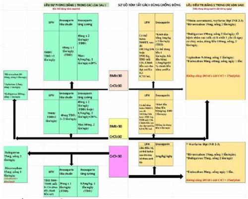 Quyết định 4689/QĐ-BYT của Bộ Y tế về việc ban hành Hướng dẫn chẩn đoán và điều trị COVID-19