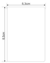 Description: MS the DH