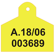 Quyết định 49/2006/QĐ-BNN của Bộ Nông nghiệp và Phát triển nông thôn về việc ban hành quy định về việc đánh dấu gia súc vận chuyển trong nước, xuất khẩu và nhập khẩu