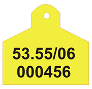 Quyết định 49/2006/QĐ-BNN của Bộ Nông nghiệp và Phát triển nông thôn về việc ban hành quy định về việc đánh dấu gia súc vận chuyển trong nước, xuất khẩu và nhập khẩu