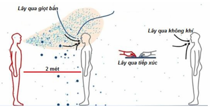 Quyết định 4156/QĐ-BYT của Bộ Y tế về việc ban hành Tài liệu Hướng dẫn Chăm sóc người nhiễm COVID-19 tại nhà