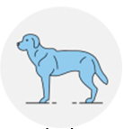 Quyết định 4156/QĐ-BYT của Bộ Y tế về việc ban hành Tài liệu Hướng dẫn Chăm sóc người nhiễm COVID-19 tại nhà