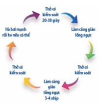 Quyết định 4156/QĐ-BYT của Bộ Y tế về việc ban hành Tài liệu Hướng dẫn Chăm sóc người nhiễm COVID-19 tại nhà