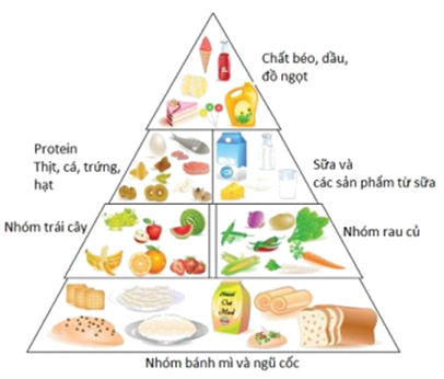 Quyết định 4156/QĐ-BYT của Bộ Y tế về việc ban hành Tài liệu Hướng dẫn Chăm sóc người nhiễm COVID-19 tại nhà