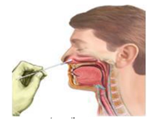 Quyết định 4377/QĐ-BYT của Bộ Y tế về việc ban hành Sổ tay hướng dẫn triển khai các nhiệm vụ của Trạm Y tế lưu động
