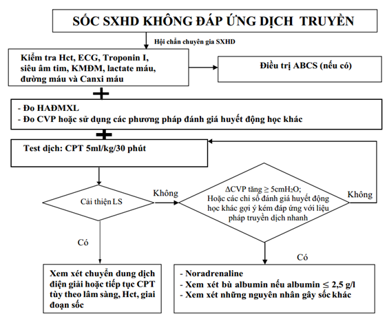 Quyết định 2760/QĐ-BYT của Bộ Y tế về việc ban hành Hướng dẫn chẩn đoán, điều trị Sốt xuất huyết Dengue