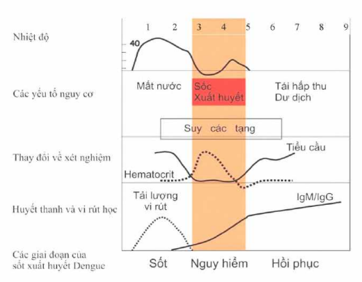 Quyết định 2760/QĐ-BYT của Bộ Y tế về việc ban hành Hướng dẫn chẩn đoán, điều trị Sốt xuất huyết Dengue