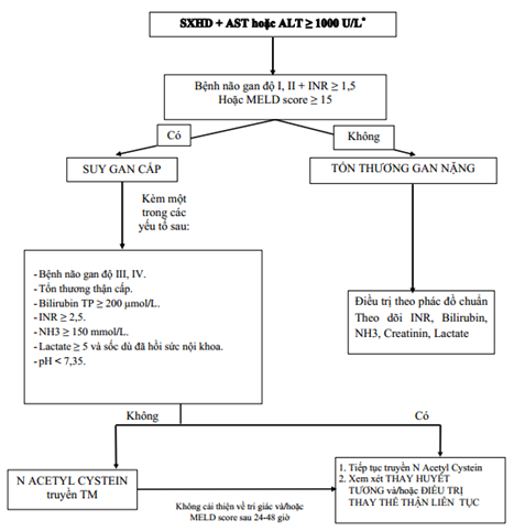 Quyết định 2760/QĐ-BYT của Bộ Y tế về việc ban hành Hướng dẫn chẩn đoán, điều trị Sốt xuất huyết Dengue