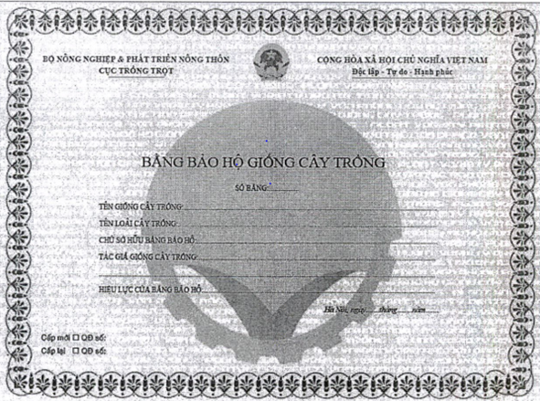 Nghị định 79/2023/NĐ-CP của Chính phủ quy định chi tiết một số điều và biện pháp thi hành Luật Sở hữu trí tuệ về quyền đối với giống cây trồng