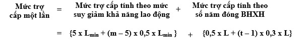 Thông tư 03/2007/TT-BLĐTBXH của Bộ Lao động, Thương binh và Xã hội về việc hướng dẫn thực hiện một số điều của Nghị định số 152/2006/NĐ-CP ngày 22/12/2006 của Chính phủ hướng dẫn một số điều của Luật Bảo hiểm xã hội về bảo hiểm xã hội bắt buộc