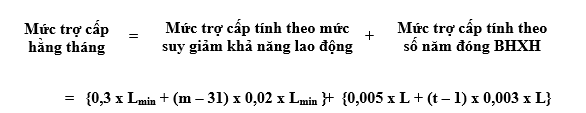 Thông tư 03/2007/TT-BLĐTBXH của Bộ Lao động, Thương binh và Xã hội về việc hướng dẫn thực hiện một số điều của Nghị định số 152/2006/NĐ-CP ngày 22/12/2006 của Chính phủ hướng dẫn một số điều của Luật Bảo hiểm xã hội về bảo hiểm xã hội bắt buộc