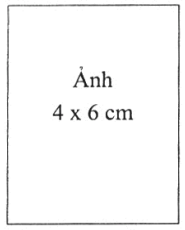Thông tư 89/2008/TT-BVHTTDL của Bộ Văn hoá, Thể thao và Du lịch về việc hướng dẫn thực hiện Nghị định số 92/2007/NĐ-CP ngày 01 tháng 6 năm 2007 của Chính phủ quy định chi tiết thi hành một số điều của Luật Du lịch về kinh doanh lữ hành, chi nhánh, văn phòng đại diện của doanh nghiệp du lịch nước ngoài tại Việt Nam, hướng dẫn du lịch và xúc tiến du lịch