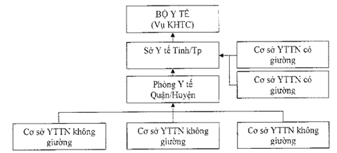 Thông tư 29/2014/TT-BYT của Bộ Y tế về việc quy định biểu mẫu và chế độ báo cáo thống kê y tế áp dụng đối với cơ sở khám bệnh, chữa bệnh tư nhân