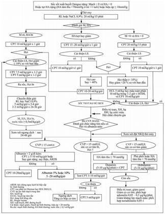 Quyết định 2760/QĐ-BYT của Bộ Y tế về việc ban hành Hướng dẫn chẩn đoán, điều trị Sốt xuất huyết Dengue