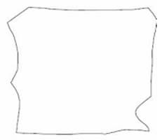 Thông tư 55/2013/TT-BTNMT của Bộ Tài nguyên và Môi trường về việc quy định thành lập bản đồ địa chính