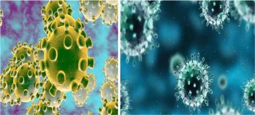 Quyết định 1773/QĐ-BYT của Bộ Y tế về việc ban hành “Sổ tay hướng dẫn một số biện pháp phòng chống dịch Viêm đường hô hấp cấp do SARS-COV-2 (COVID-19) đối với người khuyết tật tại cộng đồng”