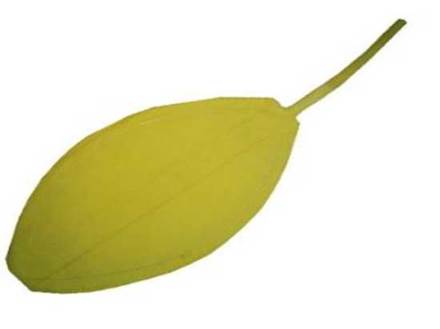 Quyết định 1773/QĐ-BYT của Bộ Y tế về việc ban hành “Sổ tay hướng dẫn một số biện pháp phòng chống dịch Viêm đường hô hấp cấp do SARS-COV-2 (COVID-19) đối với người khuyết tật tại cộng đồng”