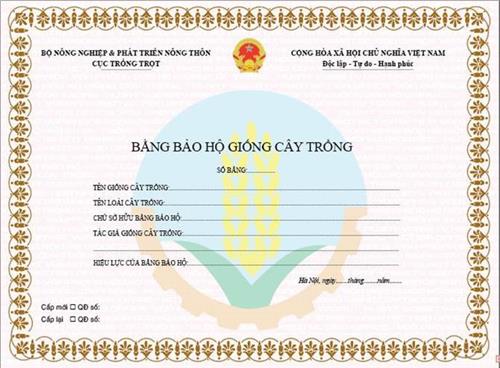 Quyết định 4953/QĐ-BNN-TT của Bộ Nông nghiệp và Phát triển nông thôn về việc công bố thủ tục hành chính ban hành mới, thủ tục hành chính thay thế lĩnh vực Trồng trọt thuộc phạm vi chức năng quản lý của Bộ Nông nghiệp và Phát triển nông thôn