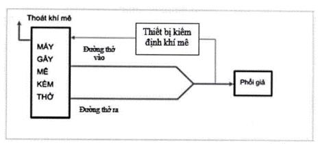 Quyết định 4442/QĐ-BYT của Bộ Y tế ban hành Tiêu chí và quy trình kiểm định an toàn và tính năng kỹ thuật Máy gây mê kèm thở dùng trong điều trị người bệnh