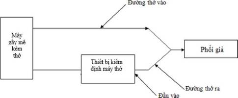 Quyết định 3236/QĐ-BYT của Bộ Y tế về việc ban hành Quy trình kiểm định an toàn và tính năng kỹ thuật Máy gây mê kèm thở dùng trong điều trị người bệnh