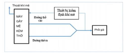 Quyết định 3236/QĐ-BYT của Bộ Y tế về việc ban hành Quy trình kiểm định an toàn và tính năng kỹ thuật Máy gây mê kèm thở dùng trong điều trị người bệnh