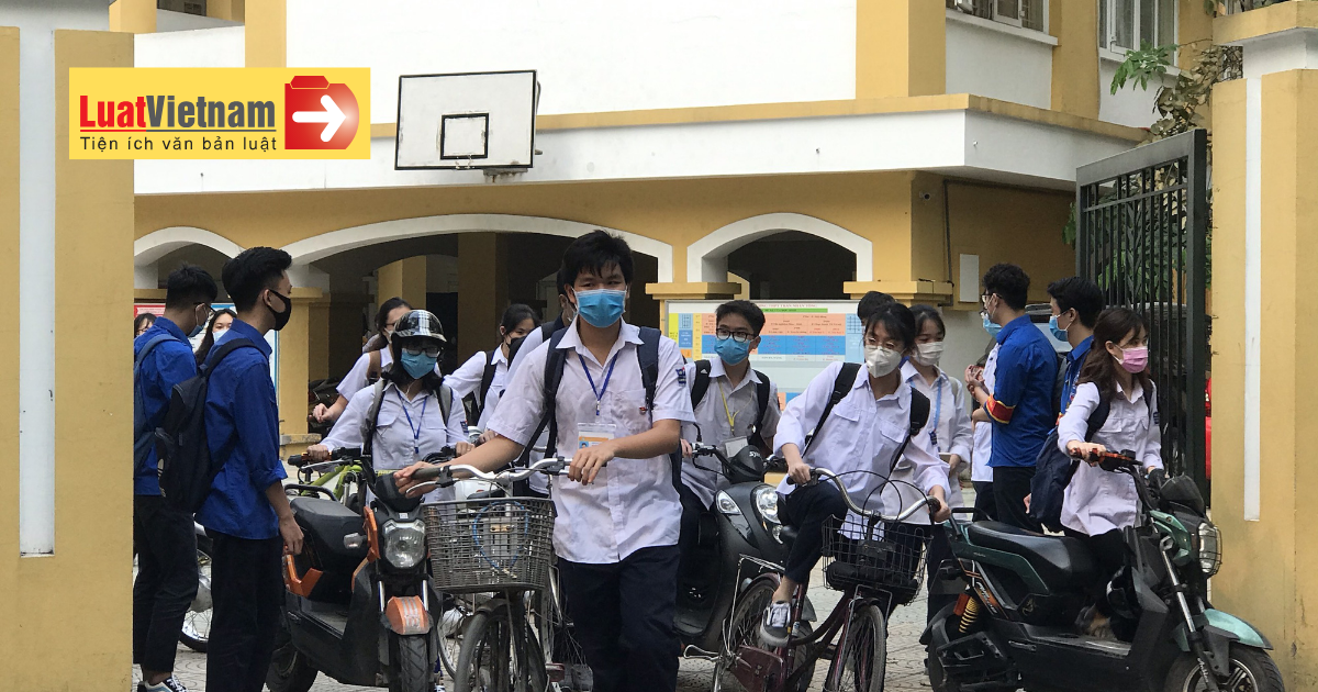 Học sinh được đi xe máy bao nhiêu cc? Học sinh được đi xe máy bao nhiêu cc?