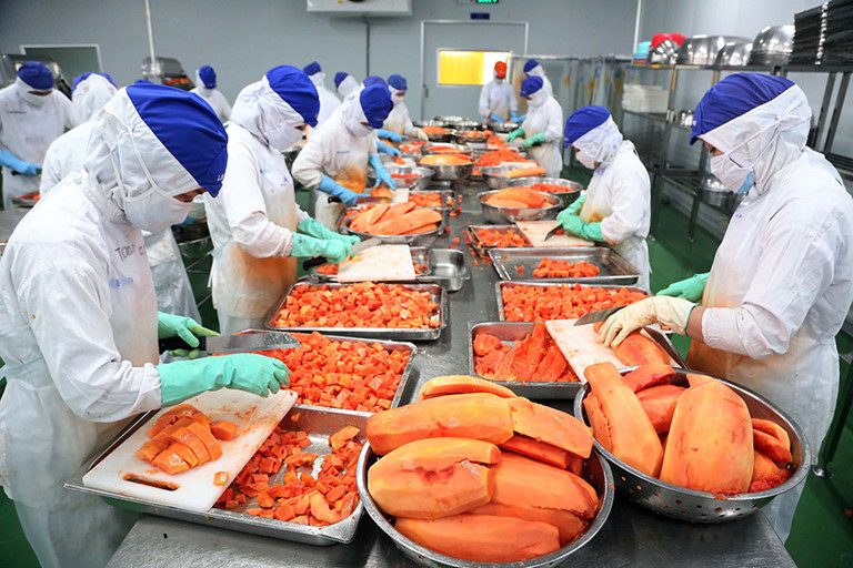 thực hiện kiểm tra Nhà nước về ATTP với thực phẩm có nguồn gốc thực vật xuất đi EU thực hiện kiểm tra Nhà nước về ATTP với thực phẩm có nguồn gốc thực vật xuất đi EU