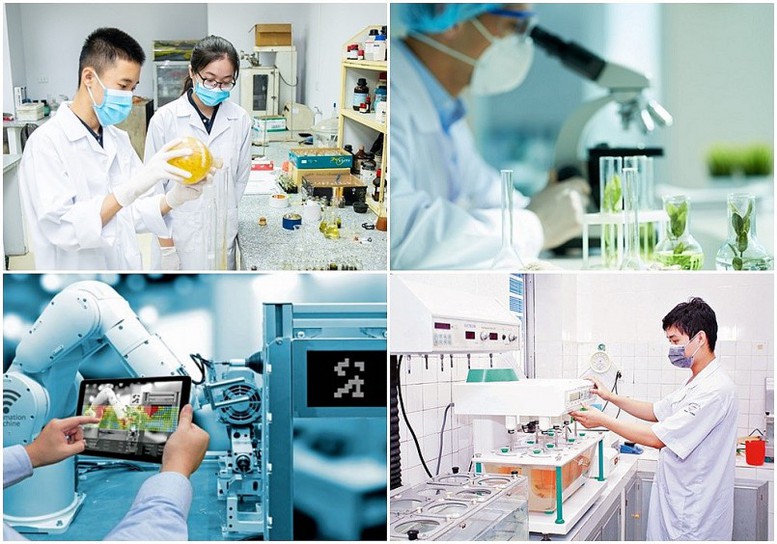 Hoàn thành phương án sắp xếp đơn vị sự nghiệp, doanh nghiệp Nhà nước trước 30/9/2025 Hoàn thành phương án sắp xếp đơn vị sự nghiệp, doanh nghiệp Nhà nước trước 30/9/2025
