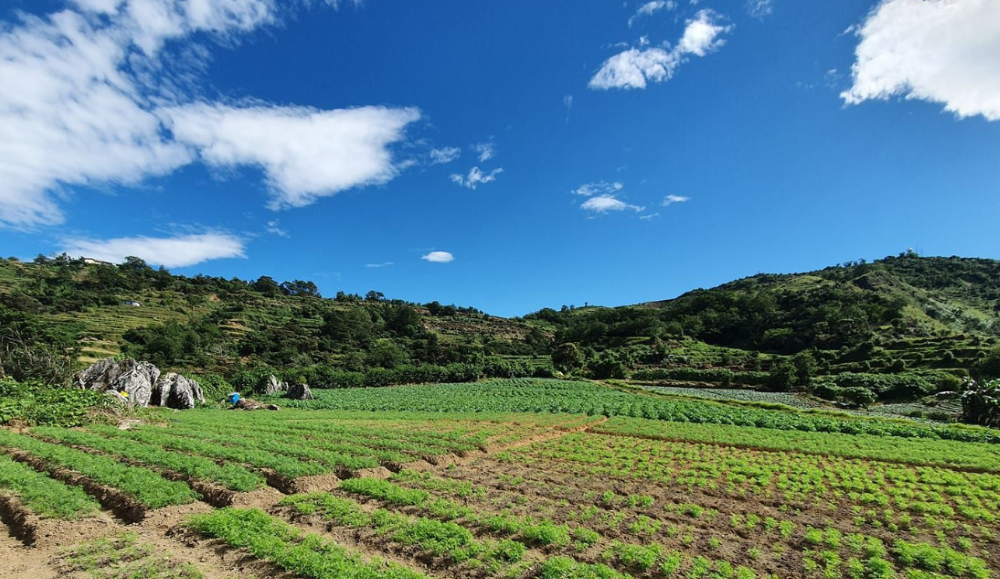 Mẫu Phiếu thu thập thông tin về thửa đất mới nhất