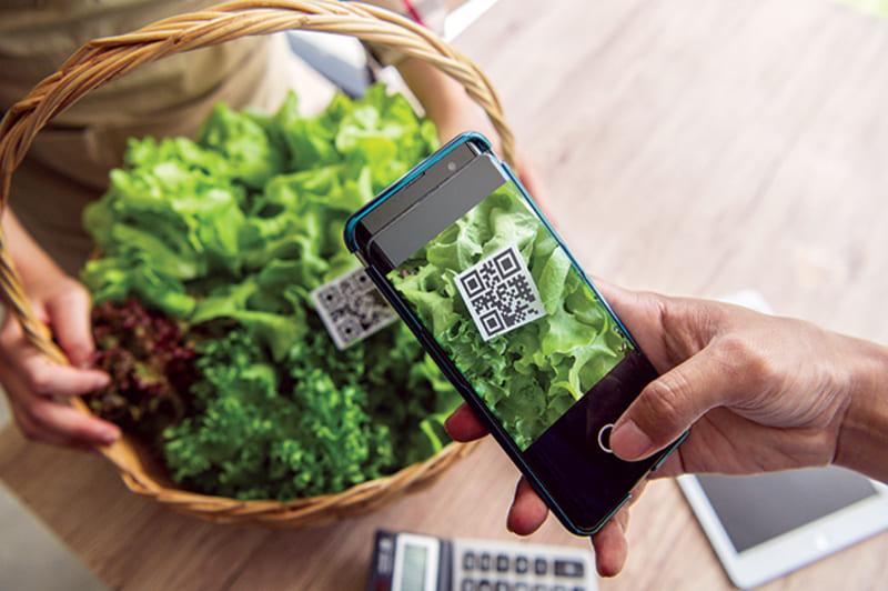 Hộ chiếu số của sản phẩm là gì theo Luật số 78/2025/QH15? Hộ chiếu số của sản phẩm là gì theo Luật số 78/2025/QH15?