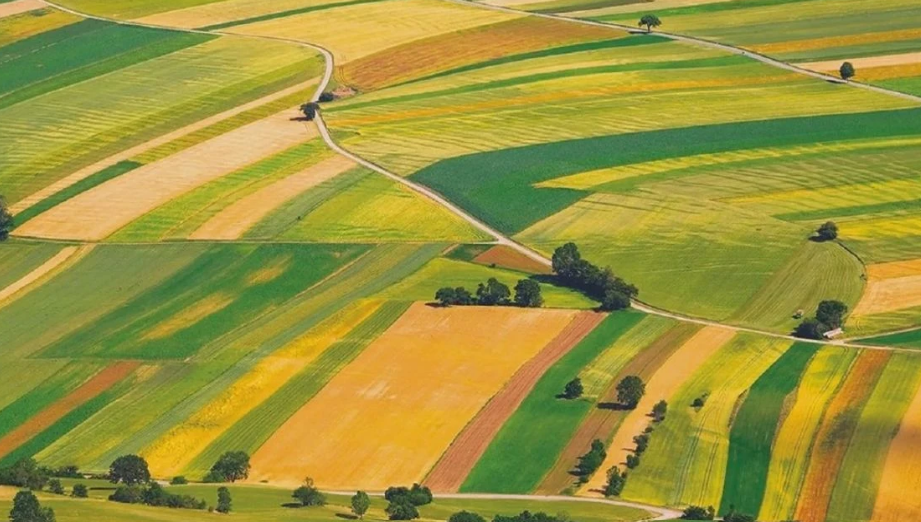 Thông qua nội dung dự thảo về cơ chế, chính sách tháo gỡ khó khăn trong thi hành Luật Đất đai Thông qua nội dung dự thảo về cơ chế, chính sách tháo gỡ khó khăn trong thi hành Luật Đất đai