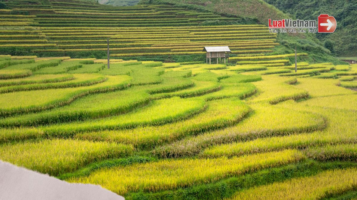 Luật Đất đai 2026 có gì mới Luật Đất đai 2026 có gì mới?