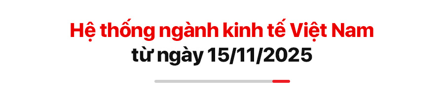 Chính sách mới hiệu lực tháng 11/2025 Chính sách mới hiệu lực tháng 11/2025