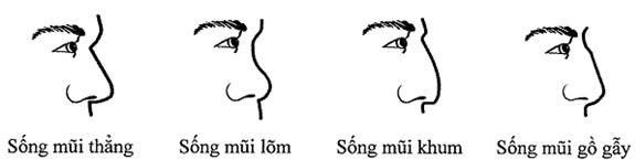 Thông tư 218/2016/TT-BQP của Bộ Quốc phòng về việc quy định cấp, quản lý, sử dụng Giấy chứng minh sĩ quan; Chứng minh quân nhân chuyên nghiệp, công nhân và viên chức quốc phòng; Thẻ hạ sĩ quan, binh sĩ tại ngũ; Thẻ sĩ quan dự bị; Thẻ quân nhân chuyên nghiệp và hạ sĩ quan, binh sĩ dự bị