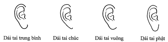 Thông tư 218/2016/TT-BQP của Bộ Quốc phòng về việc quy định cấp, quản lý, sử dụng Giấy chứng minh sĩ quan; Chứng minh quân nhân chuyên nghiệp, công nhân và viên chức quốc phòng; Thẻ hạ sĩ quan, binh sĩ tại ngũ; Thẻ sĩ quan dự bị; Thẻ quân nhân chuyên nghiệp và hạ sĩ quan, binh sĩ dự bị