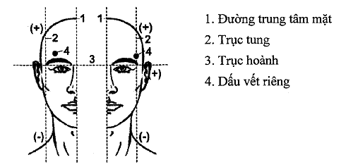 Thông tư 218/2016/TT-BQP của Bộ Quốc phòng về việc quy định cấp, quản lý, sử dụng Giấy chứng minh sĩ quan; Chứng minh quân nhân chuyên nghiệp, công nhân và viên chức quốc phòng; Thẻ hạ sĩ quan, binh sĩ tại ngũ; Thẻ sĩ quan dự bị; Thẻ quân nhân chuyên nghiệp và hạ sĩ quan, binh sĩ dự bị